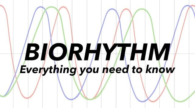 biorhythm