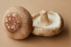 mushroom